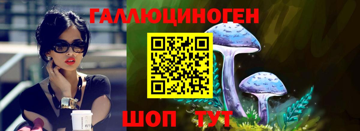 купить наркотики цена  Псилоцибиновые грибы мухоморы  Вход с VPN  Калининград 